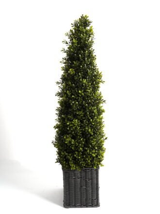 Artificial Tree 30*30*60CM Rainbow taro in pp pot GS-48522062 Tree&Plant 3,000+ sqm showroom with thousands of artificial flowers, plants & trees ready for global sourcing.