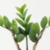 Artificial Tree Zamioculcas tree in the PP pot GS-30422001_6 Artificial Tree 30*20*42CM Zamioculcas tree in the PP pot GS-30422001 Tree&Plant YeahFlower is one of Chinese leading OEM manufacturers and exporters , supplying the silk flowers, wholesale artificial trees