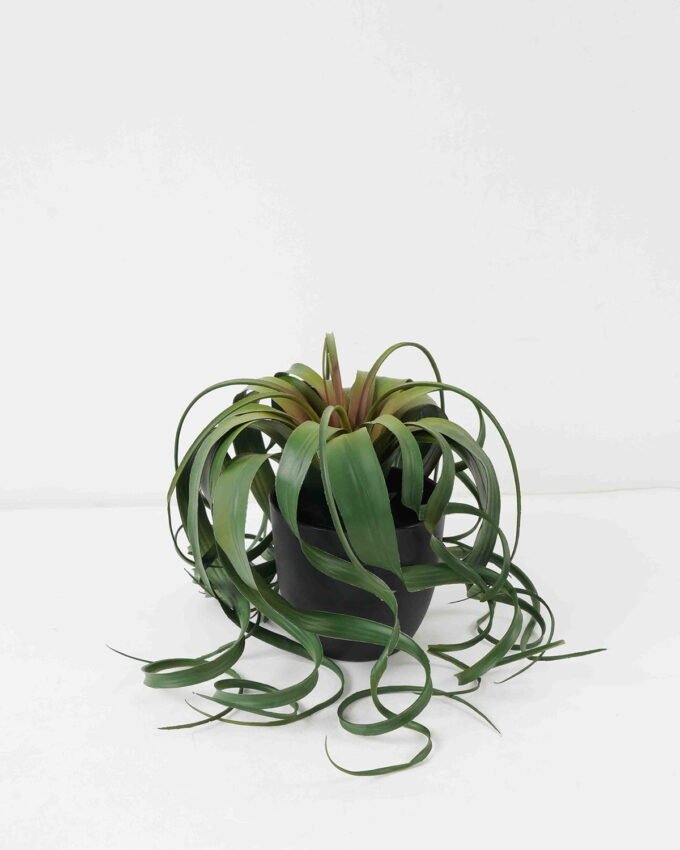 Artificial succulent 30*30*25cm Air grass in PP pot GS-03322008 Potted Flowers&Plants YeahFlower is one of Chinese leading OEM manufacturers and exporters , supplying the silk flowers, wholesale artificial trees