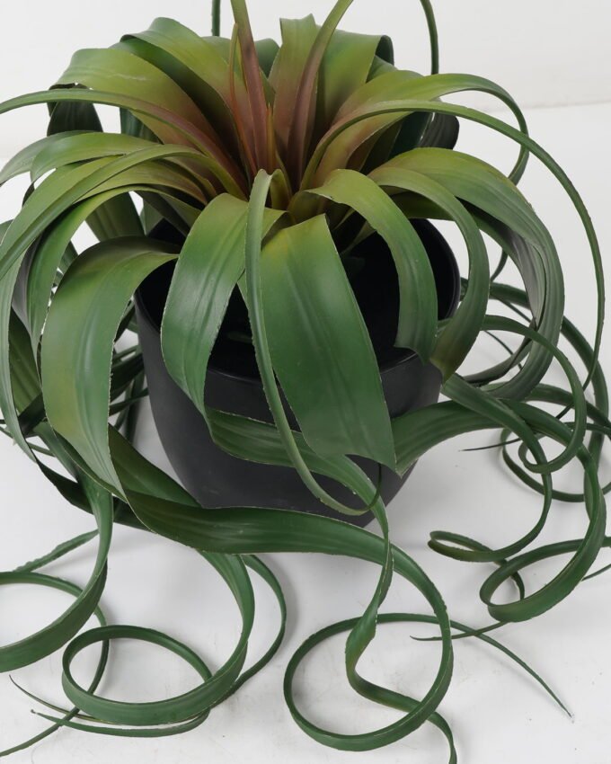 Artificial succulent 30*30*25cm Air grass in PP pot GS-03322008 Potted Flowers&Plants YeahFlower is one of Chinese leading OEM manufacturers and exporters , supplying the silk flowers, wholesale artificial trees