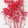 Dried Flowers 58CM Dried Gypsophila with pvc/paper wrapped(50g/bouquet) GS-56622022JJA Bouquet YeahFlower is one of Chinese leading OEM manufacturers and exporters , supplying the silk flowers, wholesale artificial trees