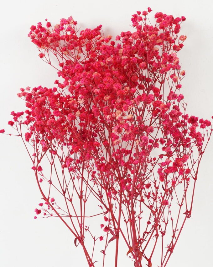 Dried Flowers 58CM Dried Gypsophila with pvc/paper wrapped(50g/bouquet) GS-56622022JJA Bouquet YeahFlower is one of Chinese leading OEM manufacturers and exporters , supplying the silk flowers, wholesale artificial trees