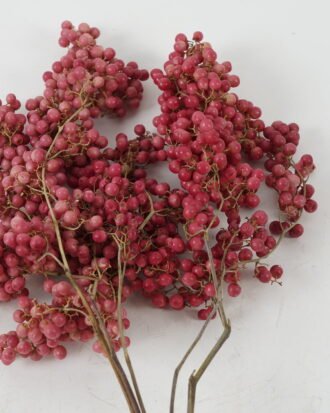 Dried Flowers H:40CM Dried Piper nigrum with pp bag(70g/bouquet) GS-56622037 Bouquet YeahFlower is one of Chinese leading OEM manufacturers and exporters , supplying the silk flowers, wholesale artificial trees