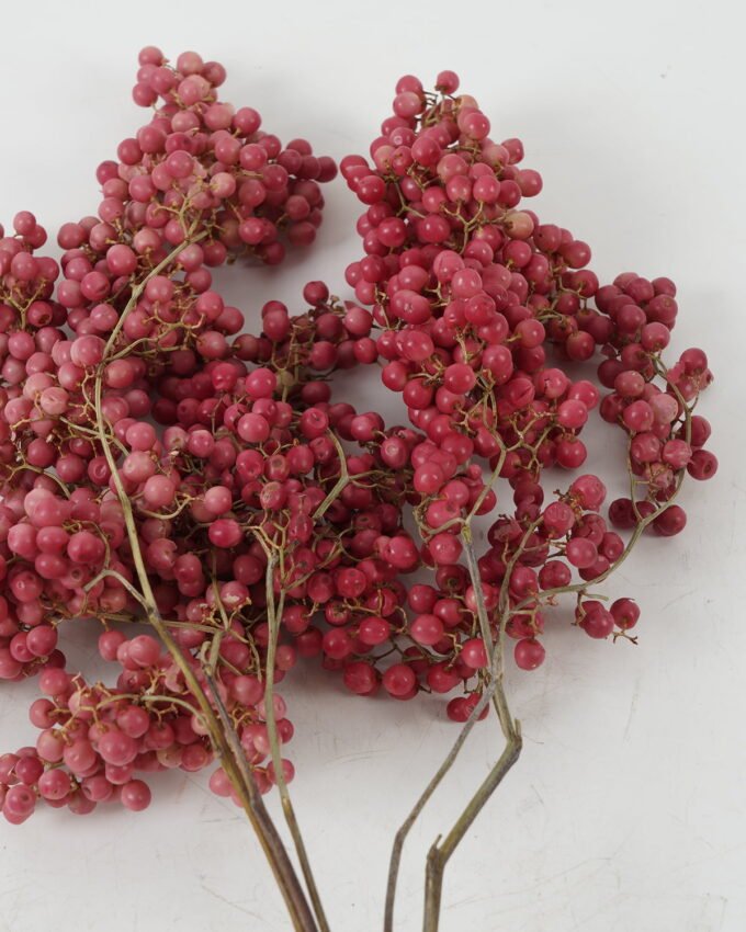 Dried Flowers H:40CM Dried Piper nigrum with pp bag(70g/bouquet) GS-56622037 Bouquet YeahFlower is one of Chinese leading OEM manufacturers and exporters , supplying the silk flowers, wholesale artificial trees