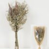 Dried Flowers H:50CM Dried natural items bouquet with pvc/paper wrapped(75g/bouquet) GS-56622032 Bouquet YeahFlower is one of Chinese leading OEM manufacturers and exporters , supplying the silk flowers, wholesale artificial trees