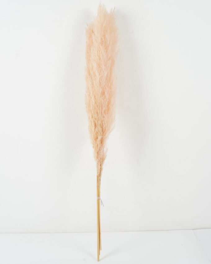Dried Flowers 14*110cm  Pampas grass,3pcs/bag  GS-56620035JJA Bouquet YeahFlower is one of Chinese leading OEM manufacturers and exporters , supplying the silk flowers, wholesale artificial trees