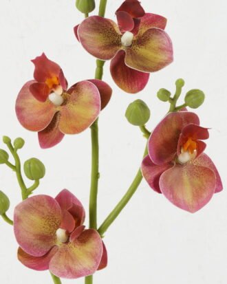 Artificial Flower 57cm Orchid leaf single stem GS-64922013 Single Flowers YeahFlower is one of Chinese leading OEM manufacturers and exporters , supplying the silk flowers, wholesale artificial trees