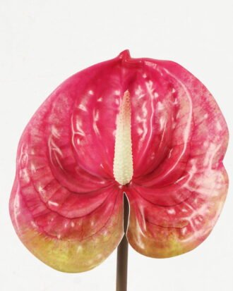 Artificial Flower 58cm Anthurium single stem GS-64922016 Single Flowers YeahFlower is one of Chinese leading OEM manufacturers and exporters , supplying the silk flowers, wholesale artificial trees