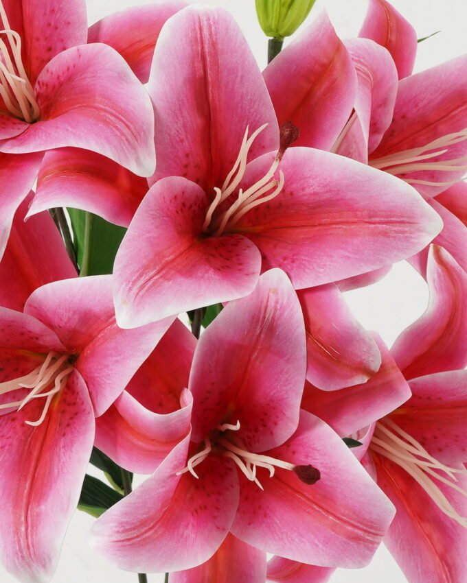 Artificial Flower 60cm  Lily  bush GS-64922010 Flowers Bush YeahFlower is one of Chinese leading OEM manufacturers and exporters , supplying the silk flowers, wholesale artificial trees