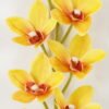Artificial Flower 76cm cymbedium  single stem GS-64922001 Single Flowers YeahFlower is one of Chinese leading OEM manufacturers and exporters , supplying the silk flowers, wholesale artificial trees