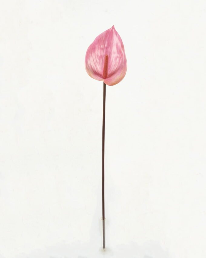 Artificial Flower 92cm single stem GS-64922014 Single Flowers YeahFlower is one of Chinese leading OEM manufacturers and exporters , supplying the silk flowers, wholesale artificial trees