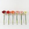 Artificial Flower 20*20*56cm Amaryllis Vittata single stem GS-41522008 Single Flowers YeahFlower is one of Chinese leading OEM manufacturers and exporters , supplying the silk flowers, wholesale artificial trees