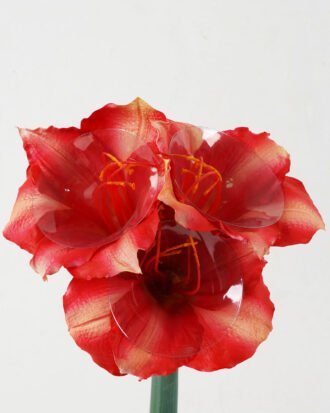 Artificial Flower 20*20*56cm Amaryllis Vittata single stem GS-41522008 Single Flowers YeahFlower is one of Chinese leading OEM manufacturers and exporters , supplying the silk flowers, wholesale artificial trees Artificial Flower 20*20*56cm Amaryllis Vittata single stem GS-41522008 Single Flowers YeahFlower is one of Chinese leading OEM manufacturers and exporters , supplying the silk flowers, wholesale artificial trees