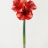 Artificial Flower 20*20*56cm Amaryllis Vittata single stem GS-41522008 Single Flowers YeahFlower is one of Chinese leading OEM manufacturers and exporters , supplying the silk flowers, wholesale artificial trees