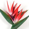 Artificial Flower 36*36*128cm Bird Of Paradise single stem GS-41522005 Single Flowers YeahFlower is one of Chinese leading OEM manufacturers and exporters , supplying the silk flowers, wholesale artificial trees