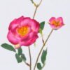 Artificial Flower 12*12*54cm Camellia *2 single stem GS-53622014-R2 Single Flowers YeahFlower is one of Chinese leading OEM manufacturers and exporters , supplying the silk flowers, wholesale artificial trees