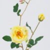 Artificial Flower 12*12*54cm Camellia *2 single stem GS-53622014 Single Flowers YeahFlower is one of Chinese leading OEM manufacturers and exporters , supplying the silk flowers, wholesale artificial trees