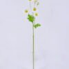 Artificial Flower 10*10*49cm Chrysanthemum *6 single stem GS-53622013 Single Flowers YeahFlower is one of Chinese leading OEM manufacturers and exporters , supplying the silk flowers, wholesale artificial trees