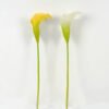 Artificial Flower 18*18*80cm Common callalily single stem GS-31322004 Single Flowers YeahFlower is one of Chinese leading OEM manufacturers and exporters , supplying the silk flowers, wholesale artificial trees