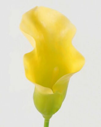 Artificial Flower 18*18*80cm Common callalily single stem GS-31322004 Single Flowers YeahFlower is one of Chinese leading OEM manufacturers and exporters , supplying the silk flowers, wholesale artificial trees Artificial Flower 18*18*80cm Common callalily single stem GS-31322004 Single Flowers YeahFlower is one of Chinese leading OEM manufacturers and exporters , supplying the silk flowers, wholesale artificial trees