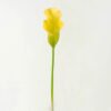 Artificial Flower 18*18*80cm Common callalily single stem GS-31322004 Single Flowers YeahFlower is one of Chinese leading OEM manufacturers and exporters , supplying the silk flowers, wholesale artificial trees