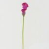 Artificial Flower 12*12*70cm Common callalily single stem GS-31322005-Z1 Single Flowers YeahFlower is one of Chinese leading OEM manufacturers and exporters , supplying the silk flowers, wholesale artificial trees