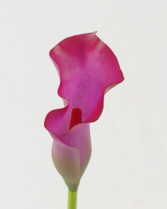 Artificial Flower 12*12*70cm Common callalily single stem GS-31322005-Z1 Single Flowers YeahFlower is one of Chinese leading OEM manufacturers and exporters , supplying the silk flowers, wholesale artificial trees Artificial Flower 12*12*70cm Common callalily single stem GS-31322005-Z1 Single Flowers YeahFlower is one of Chinese leading OEM manufacturers and exporters , supplying the silk flowers, wholesale artificial trees