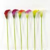 Artificial Flower 12*12*70cm Common callalily single stem GS-31322005 Single Flowers YeahFlower is one of Chinese leading OEM manufacturers and exporters , supplying the silk flowers, wholesale artificial trees