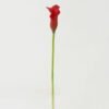 Artificial Flower 10*10*62cm Common callalily single stem GS-31322006-R1 Single Flowers YeahFlower is one of Chinese leading OEM manufacturers and exporters , supplying the silk flowers, wholesale artificial trees