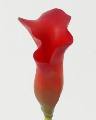 Artificial Flower 10*10*62cm Common callalily single stem GS-31322006-R1 Single Flowers YeahFlower is one of Chinese leading OEM manufacturers and exporters , supplying the silk flowers, wholesale artificial trees Artificial Flower 10*10*62cm Common callalily single stem GS-31322006-R1 Single Flowers YeahFlower is one of Chinese leading OEM manufacturers and exporters , supplying the silk flowers, wholesale artificial trees