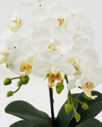 Artificial Flower 23*23*33cm Cymbidium in Cement pot GS-22222035 Potted Flowers&Plants YeahFlower is one of Chinese leading OEM manufacturers and exporters , supplying the silk flowers, wholesale artificial trees