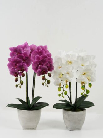 Artificial Flower 23*23*33cm Cymbidium in Cement pot GS-22222035 Potted Flowers&Plants 3,000+ sqm showroom with thousands of artificial flowers, plants & trees ready for global sourcing.