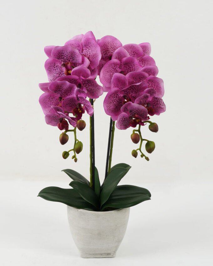 Artificial Flower 30*30*50cm Cymbidium in Cement pot GS-22222036 Potted Flowers&Plants YeahFlower is one of Chinese leading OEM manufacturers and exporters , supplying the silk flowers, wholesale artificial trees