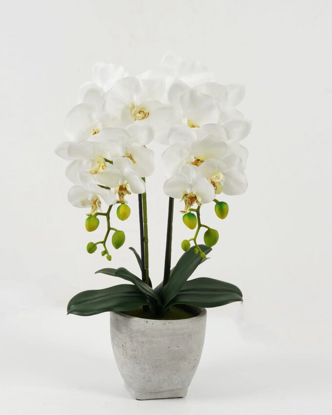 Artificial Flower 30*30*50cm Cymbidium in Cement pot GS-22222036 Potted Flowers&Plants YeahFlower is one of Chinese leading OEM manufacturers and exporters , supplying the silk flowers, wholesale artificial trees
