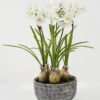 Artificial Flower Daffodil 7 in cement pot GS-22220025_4 Artificial Flower 22*22*48cm Daffodil*7 in cement pot GS-22220025 Potted Flowers&Plants YeahFlower is one of Chinese leading OEM manufacturers and exporters , supplying the silk flowers, wholesale artificial trees