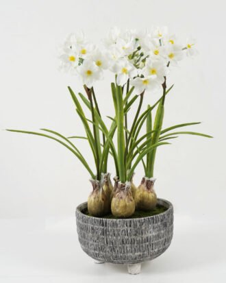 Artificial Flower 22*22*48cm Daffodil*7 in cement pot GS-22220025 Potted Flowers&Plants YeahFlower is one of Chinese leading OEM manufacturers and exporters , supplying the silk flowers, wholesale artificial trees Artificial Flower 22*22*48cm Daffodil*7 in cement pot GS-22220025 Potted Flowers&Plants YeahFlower is one of Chinese leading OEM manufacturers and exporters , supplying the silk flowers, wholesale artificial trees