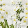 Artificial Flower Daffodil 7 in cement pot GS-22220025_8 Artificial Flower 22*22*48cm Daffodil*7 in cement pot GS-22220025 Potted Flowers&Plants YeahFlower is one of Chinese leading OEM manufacturers and exporters , supplying the silk flowers, wholesale artificial trees