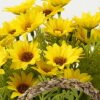 Artificial Flower 20*15*23cm Daisy in Basket GS-03322106P1P40-Y1 Potted Flowers&Plants YeahFlower is one of Chinese leading OEM manufacturers and exporters , supplying the silk flowers, wholesale artificial trees