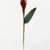 Artificial Flower 15*15*80cm Ginger flower single stem GS-41522001-R1 Single Flowers YeahFlower is one of Chinese leading OEM manufacturers and exporters , supplying the silk flowers, wholesale artificial trees
