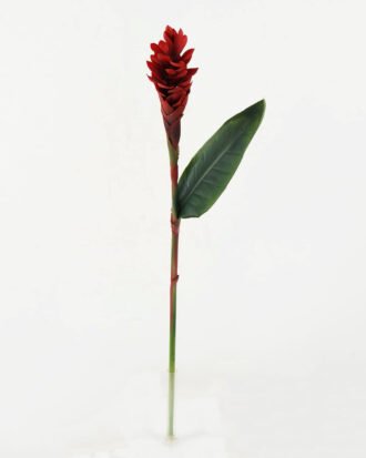 Artificial Flower 15*15*80cm Ginger flower single stem GS-41522001-R1 Single Flowers YeahFlower is one of Chinese leading OEM manufacturers and exporters , supplying the silk flowers, wholesale artificial trees Artificial Flower 15*15*80cm Ginger flower single stem GS-41522001-R1 Single Flowers YeahFlower is one of Chinese leading OEM manufacturers and exporters , supplying the silk flowers, wholesale artificial trees
