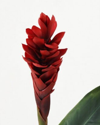 Artificial Flower 15*15*80cm Ginger flower single stem GS-41522001-R1 Single Flowers YeahFlower is one of Chinese leading OEM manufacturers and exporters , supplying the silk flowers, wholesale artificial trees Artificial Flower 15*15*80cm Ginger flower single stem GS-41522001-R1 Single Flowers YeahFlower is one of Chinese leading OEM manufacturers and exporters , supplying the silk flowers, wholesale artificial trees