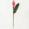 Artificial Flower 15*15*80cm Ginger flower single stem GS-41522001 Single Flowers YeahFlower is one of Chinese leading OEM manufacturers and exporters , supplying the silk flowers, wholesale artificial trees