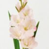 Artificial Flower 13*13*78cm Gladiolus single stem GS-41522009-P1 Single Flowers YeahFlower is one of Chinese leading OEM manufacturers and exporters , supplying the silk flowers, wholesale artificial trees