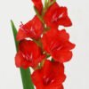 Artificial Flower 13*13*78cm Gladiolus single stem GS-41522009-R1 Single Flowers YeahFlower is one of Chinese leading OEM manufacturers and exporters , supplying the silk flowers, wholesale artificial trees