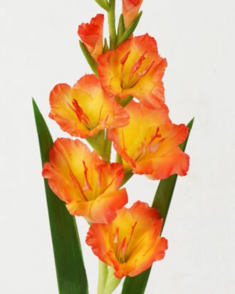 Artificial Flower 13*13*78cm Gladiolus single stem GS-41522009 Single Flowers YeahFlower is one of Chinese leading OEM manufacturers and exporters , supplying the silk flowers, wholesale artificial trees