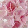 Artificial Flower 27*27*60cm Hydrangea single stem GS-31322003-P1 Single Flowers YeahFlower is one of Chinese leading OEM manufacturers and exporters , supplying the silk flowers, wholesale artificial trees