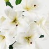Artificial Flower Lily bush GS-64922010-W1_8 Artificial Flower 37*37*60cm Lily bush GS-64922010-W1 Flowers Bush 3,000+ sqm showroom with thousands of artificial flowers, plants & trees ready for global sourcing.