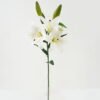 Artificial Flower 20*20*67cm Lily  single stem GS-64922007-W1 Single Flowers YeahFlower is one of Chinese leading OEM manufacturers and exporters , supplying the silk flowers, wholesale artificial trees