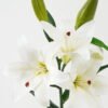 Artificial Flower 20*20*67cm Lily  single stem GS-64922007-W1 Single Flowers YeahFlower is one of Chinese leading OEM manufacturers and exporters , supplying the silk flowers, wholesale artificial trees