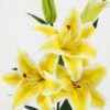 Artificial Flower 25*25*87cm Lily  single stem GS-64922022 Single Flowers YeahFlower is one of Chinese leading OEM manufacturers and exporters , supplying the silk flowers, wholesale artificial trees